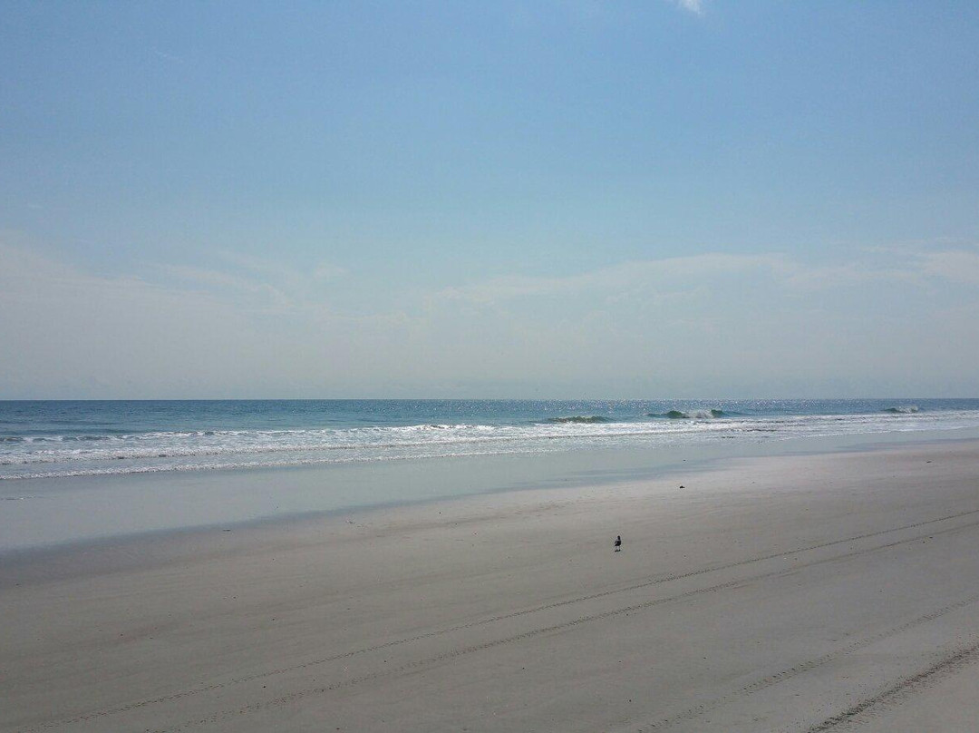 Playalinda Beach景点图片