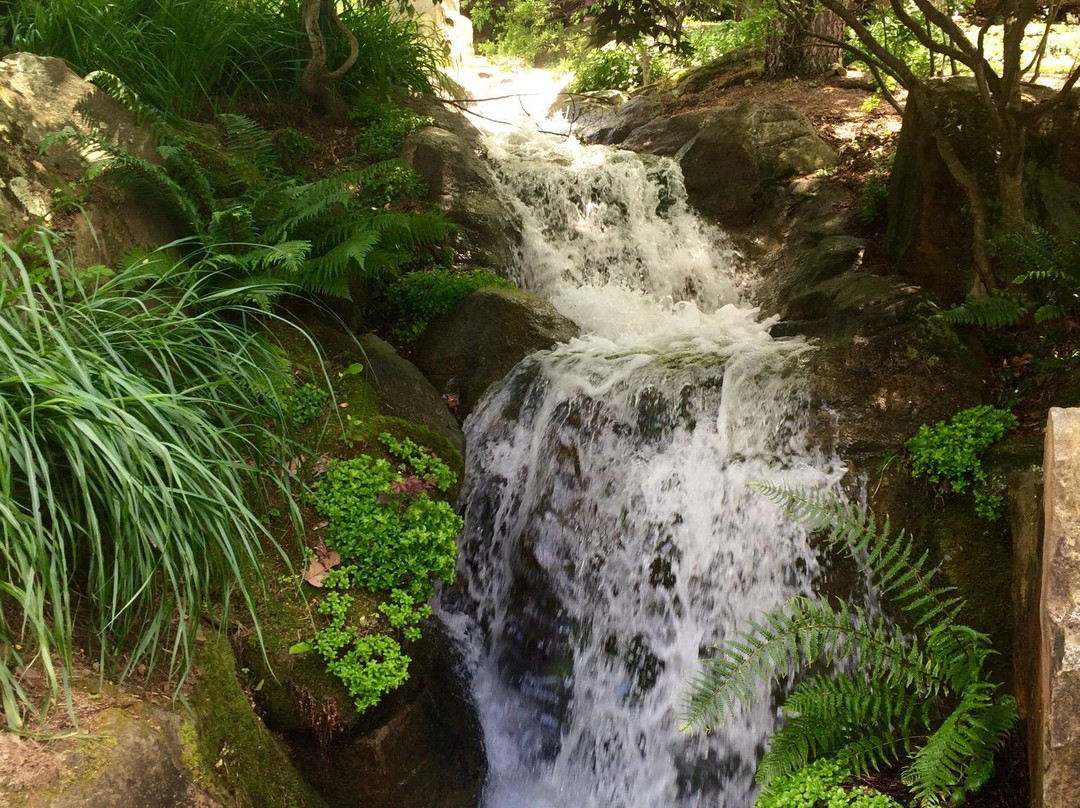 Schnormeier Gardens-Gambier必去景点