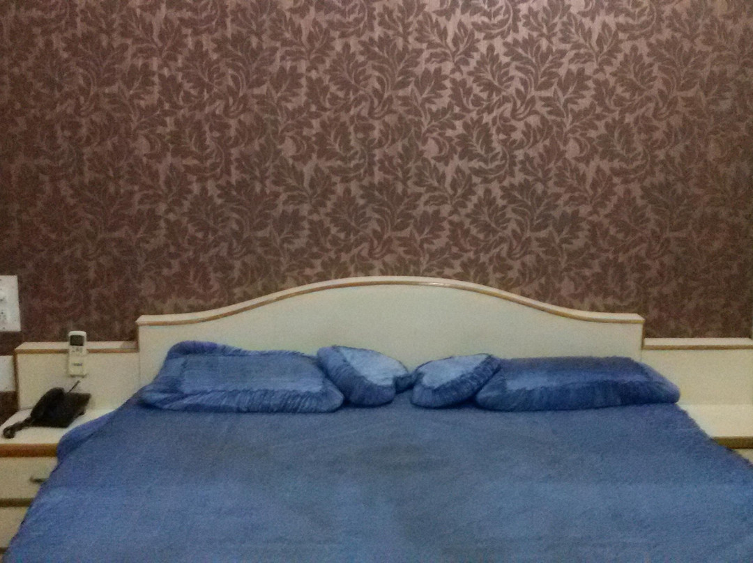 Hotel Raj Mahal Beawar主图