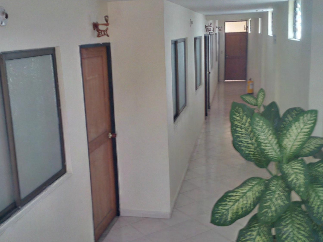 Hotel Calle Real主图