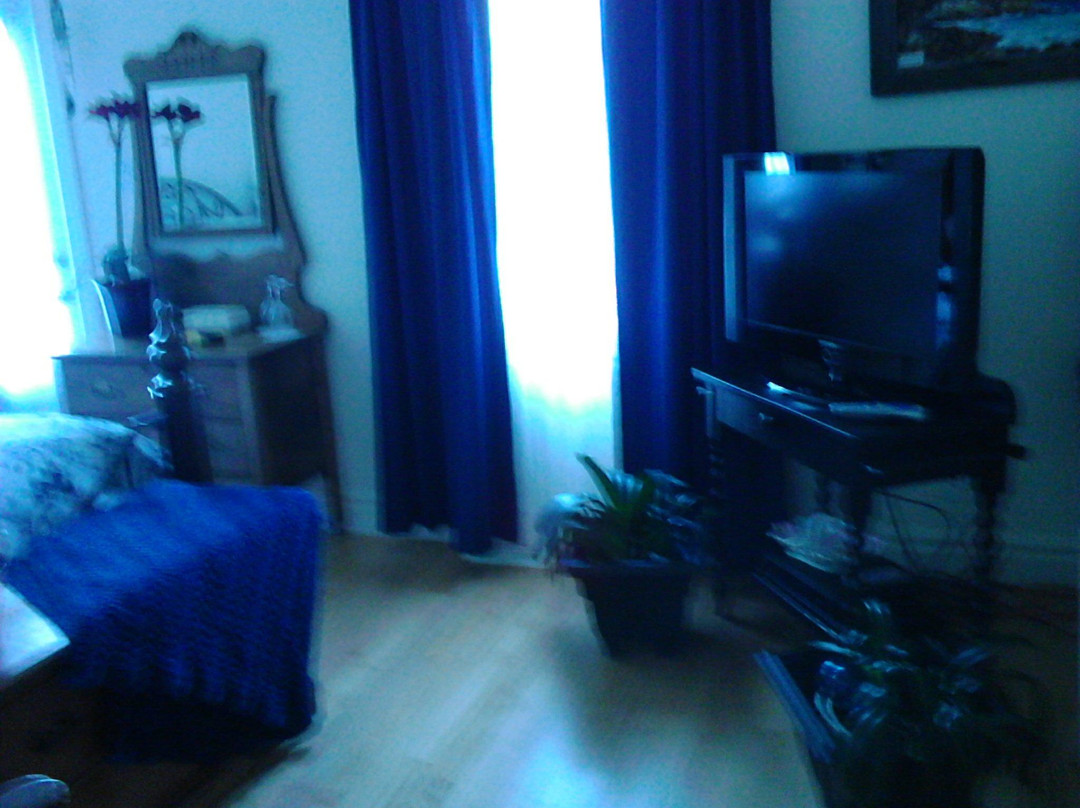 Terrace Green Bed & Breakfast主图