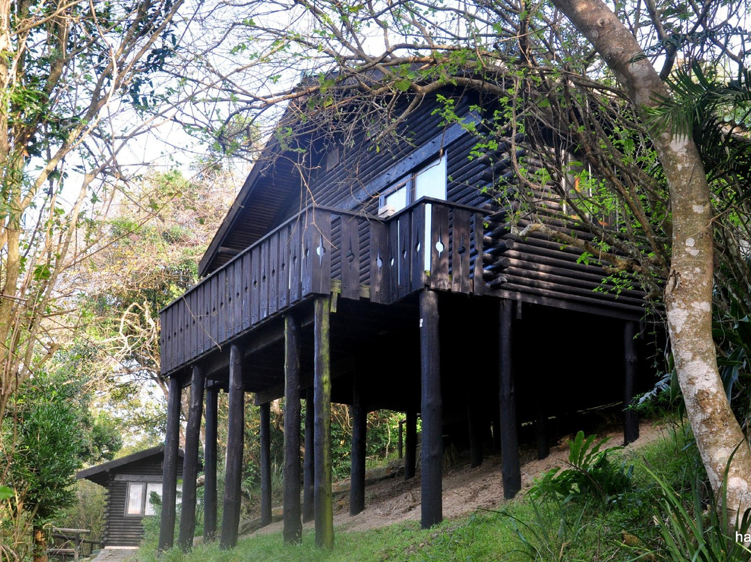 Dwesa Nature Reserve-Port St Johns必去景点
