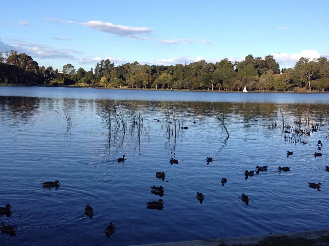Hamilton Lake Domain-汉密尔顿必去景点