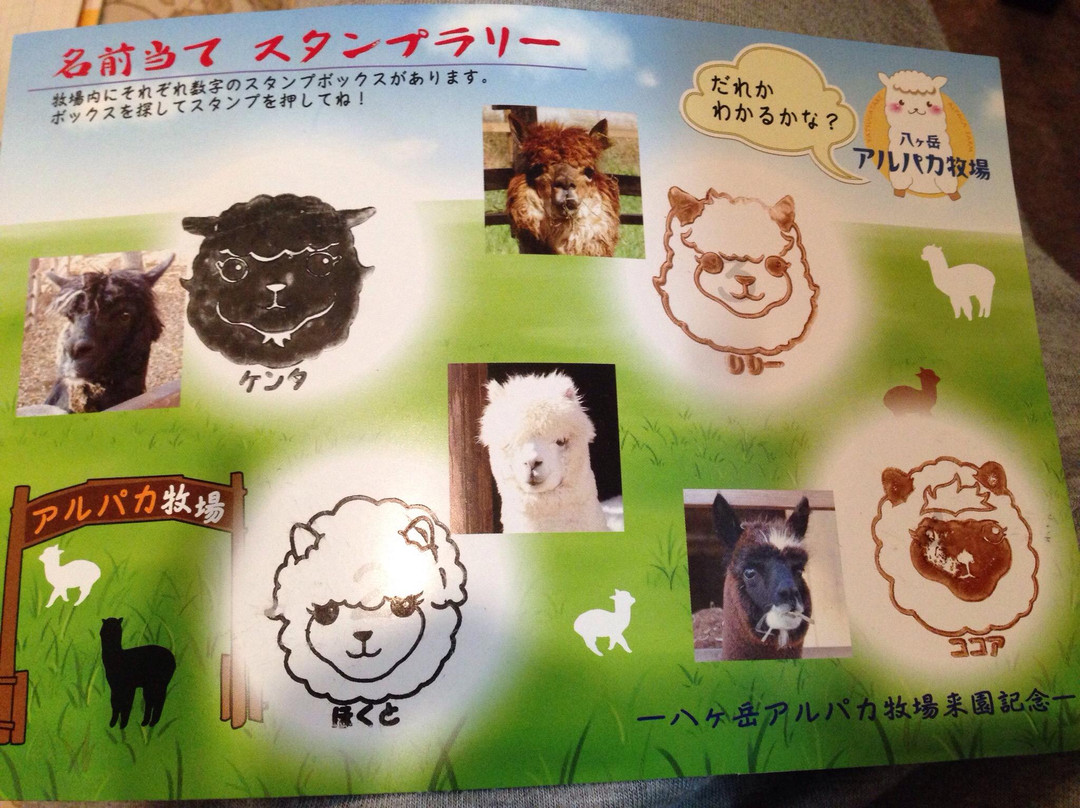 Yatsugatake Alpaca Farm-富士见町必去景点