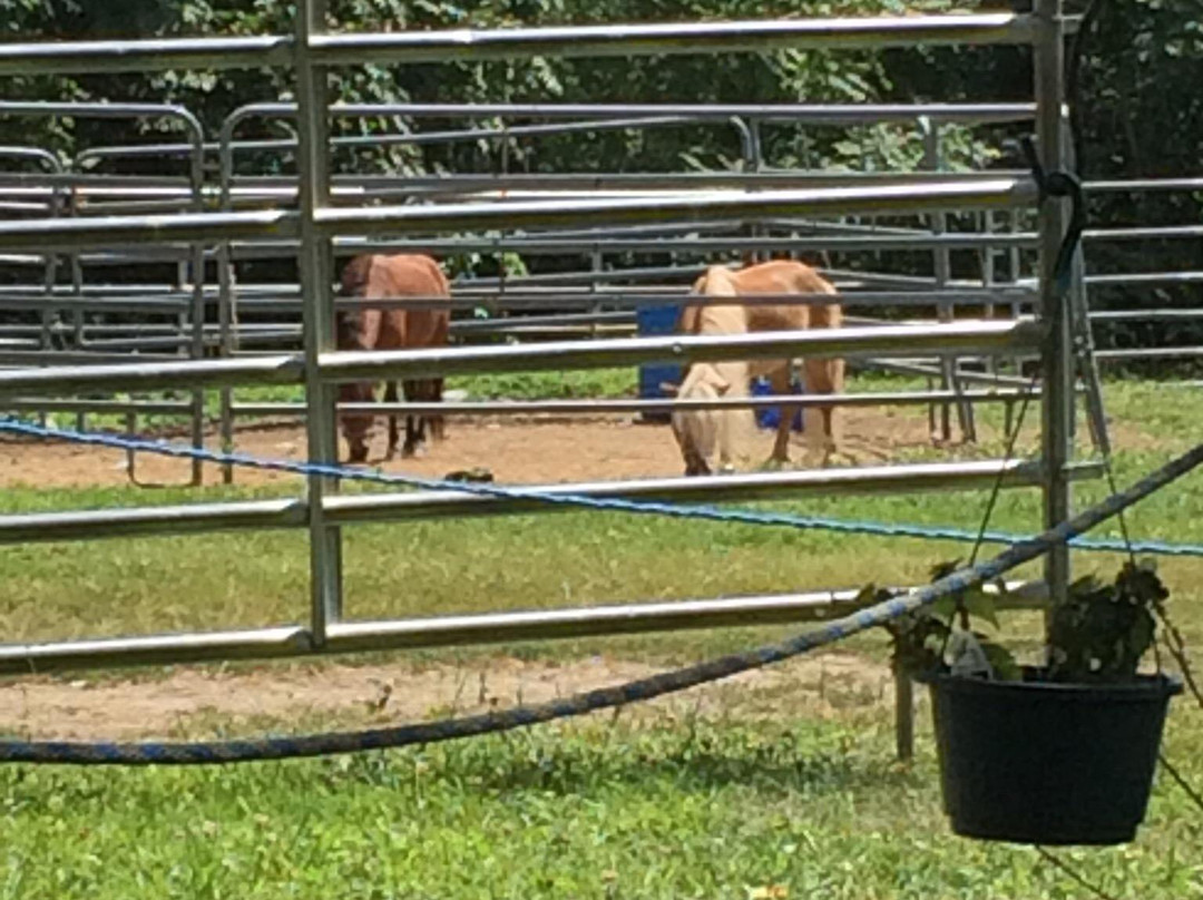 Sunset Stables-Lincoln必去景点