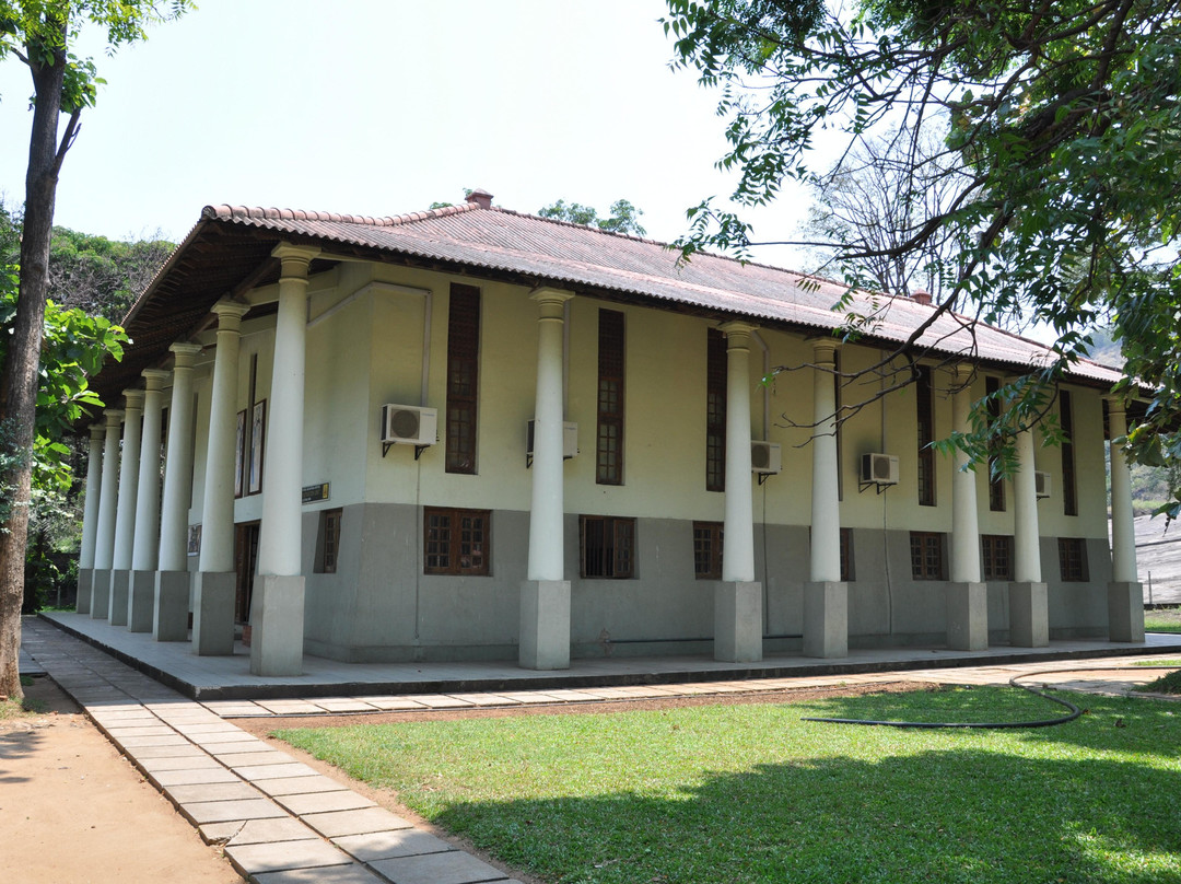 Painting Conservation & Research Center, Painting Museum-丹布拉必去景点