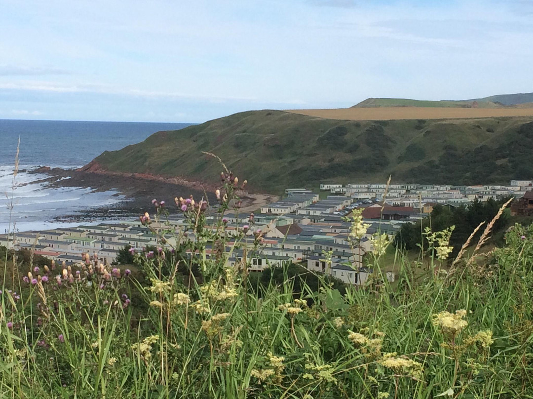 Pease Bay-Cockburnspath必去景点