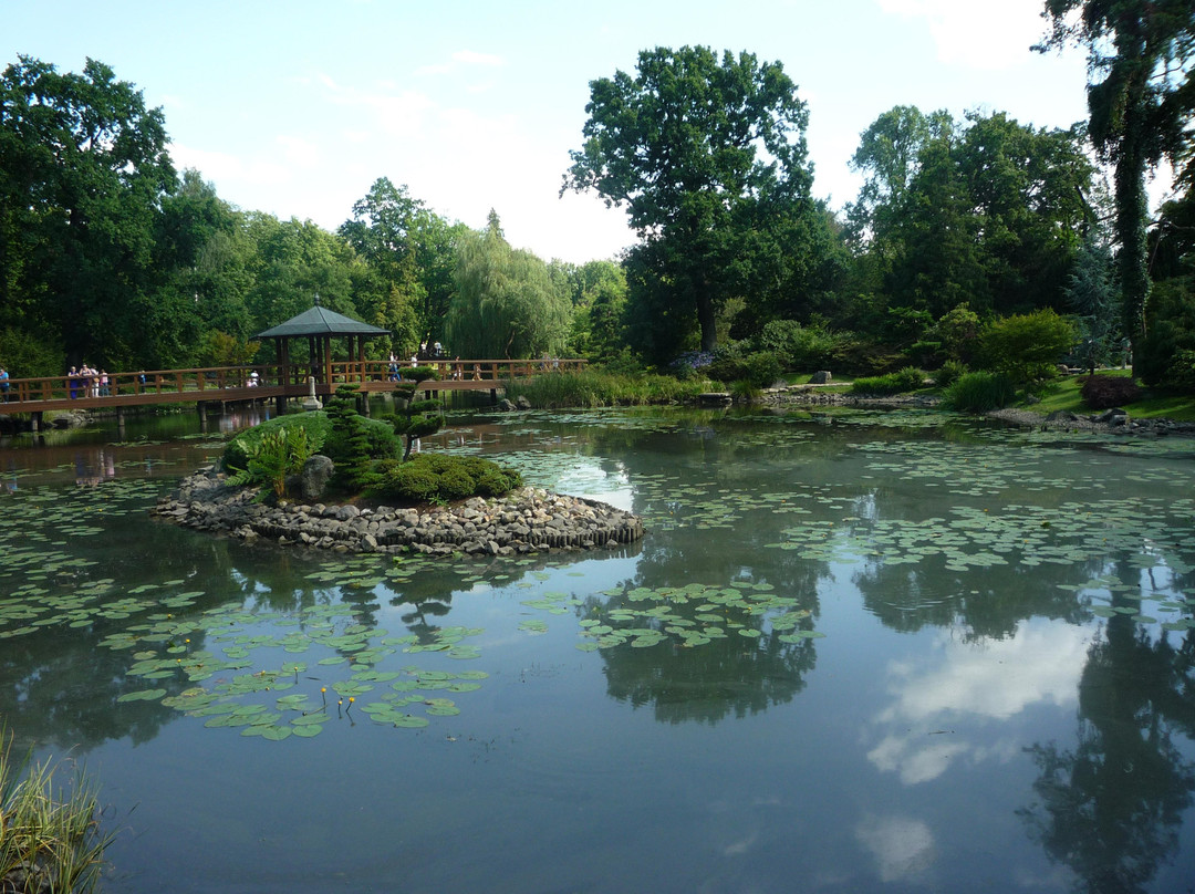Japanese Garden - Szczytnicki Park-弗罗茨瓦夫必去景点