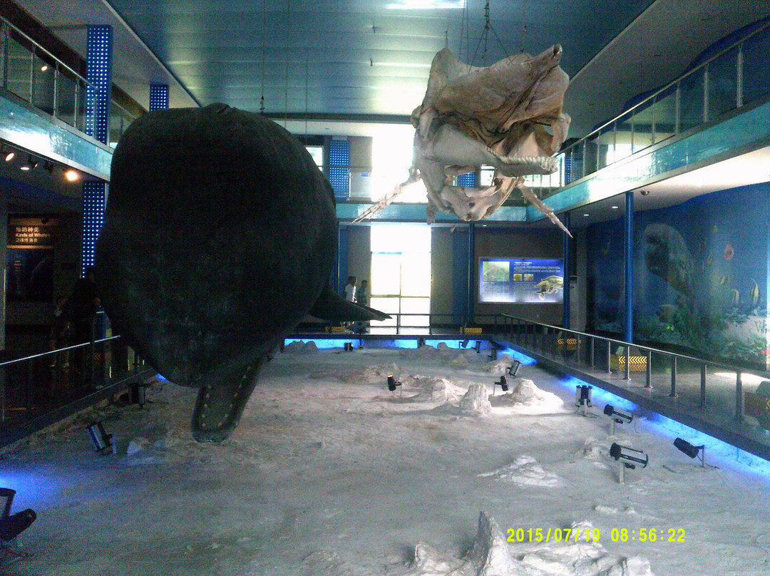 刘公岛博览园-威海市必去景点