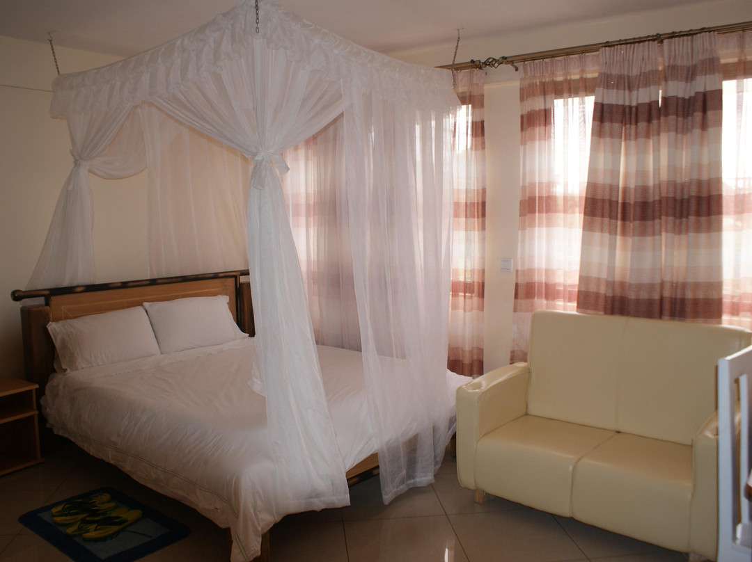 Elsa Hotel Meru主图