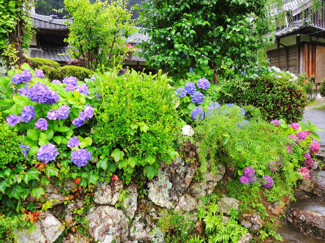 Ryushoji Temple景点图片