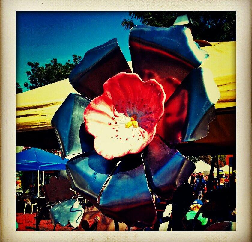 First Sunday Arts Festival-安纳波利斯必去景点