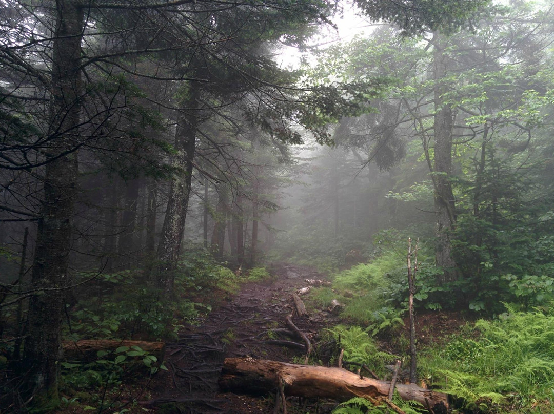 Green Mountain Adventure Challenge-Dover必去景点