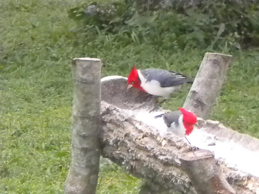 Posada El Yacare主图