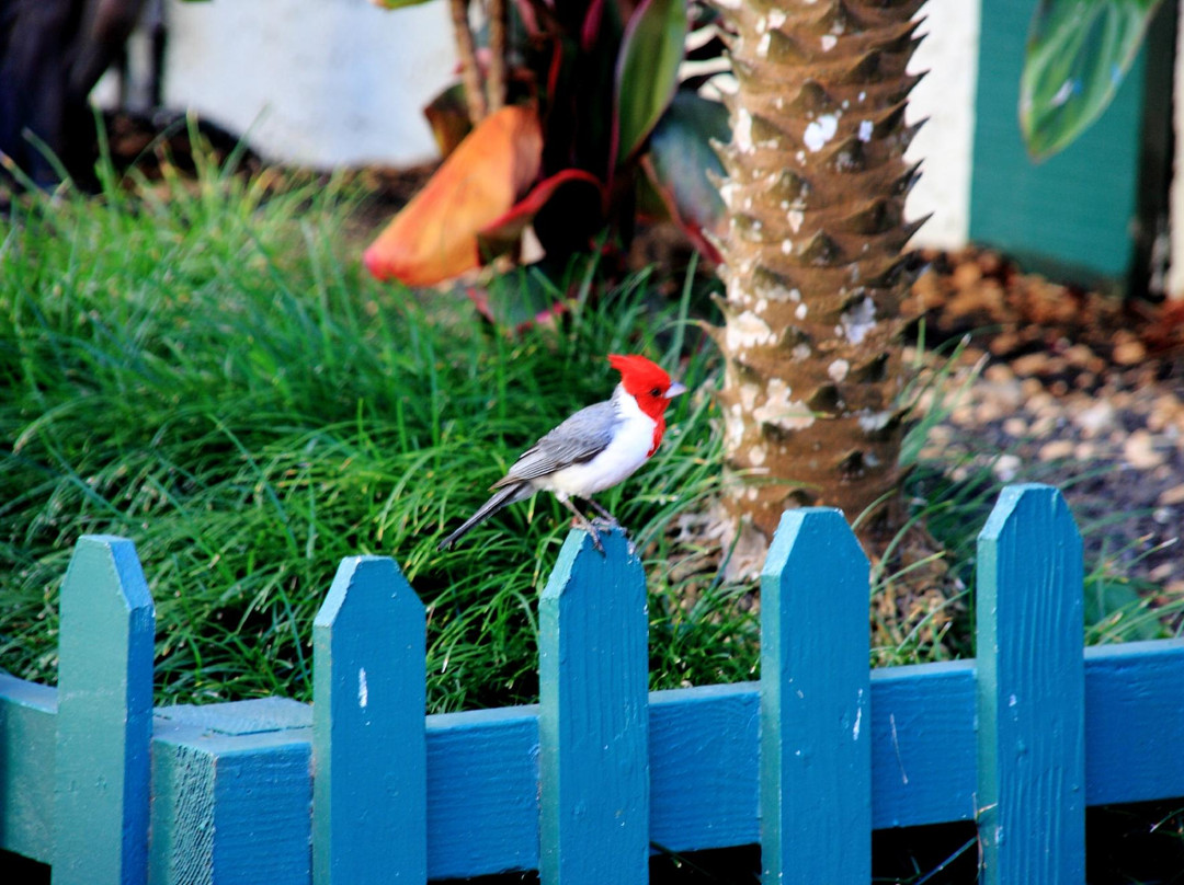 Ching Young Village Shopping Center-哈纳雷伊必去景点