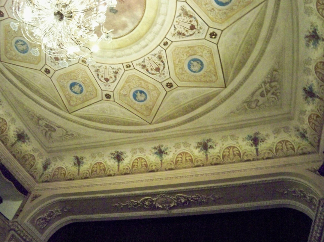 Teatro sociale景点图片