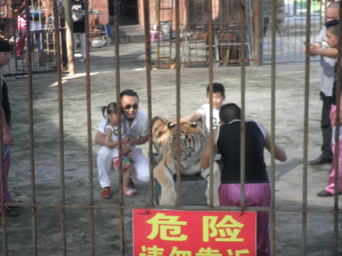 厦门海沧野生动物园-厦门市必去景点