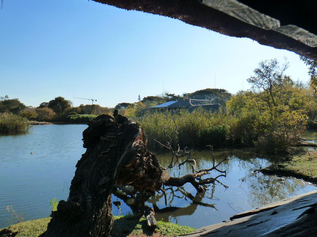 Austin Roberts Bird Sanctuary-比勒陀利亚必去景点