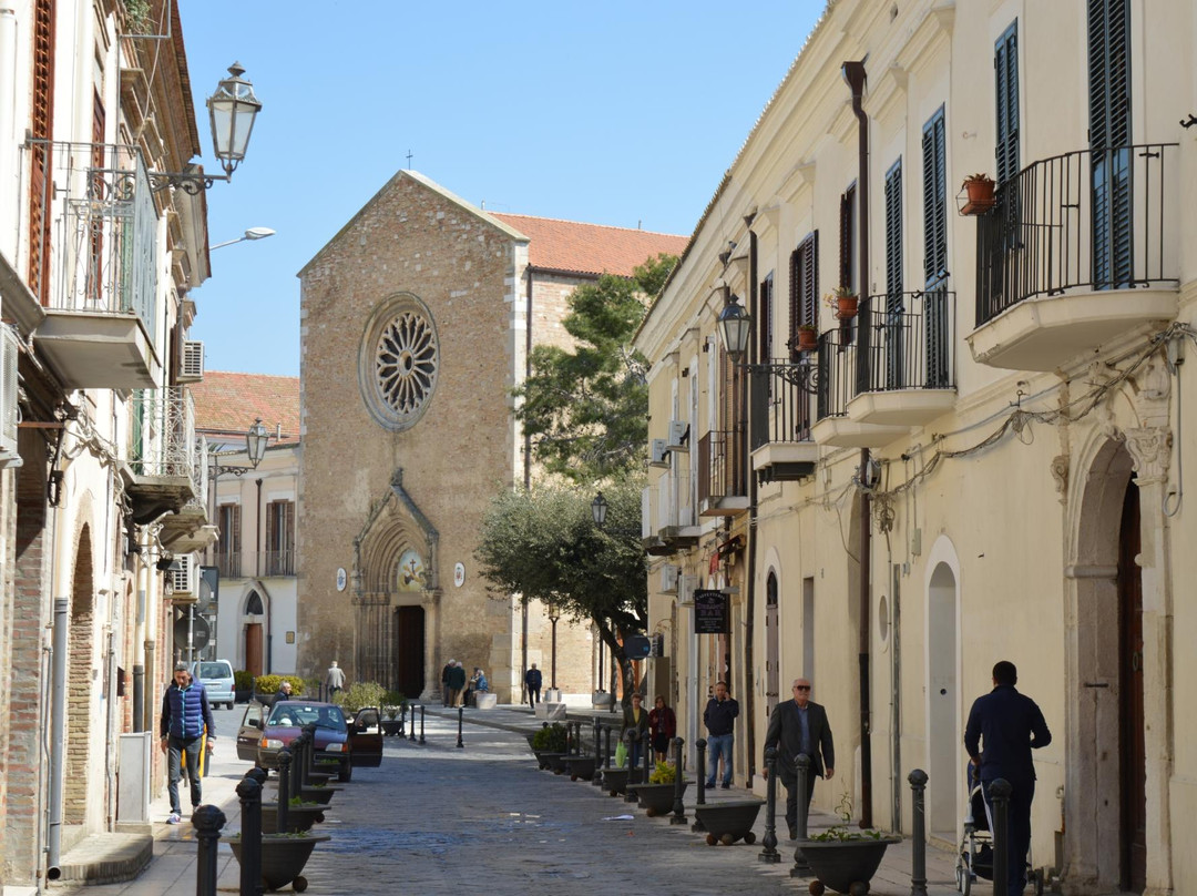 Basilica Santuario di San Francesco Antonio Fasani景点图片