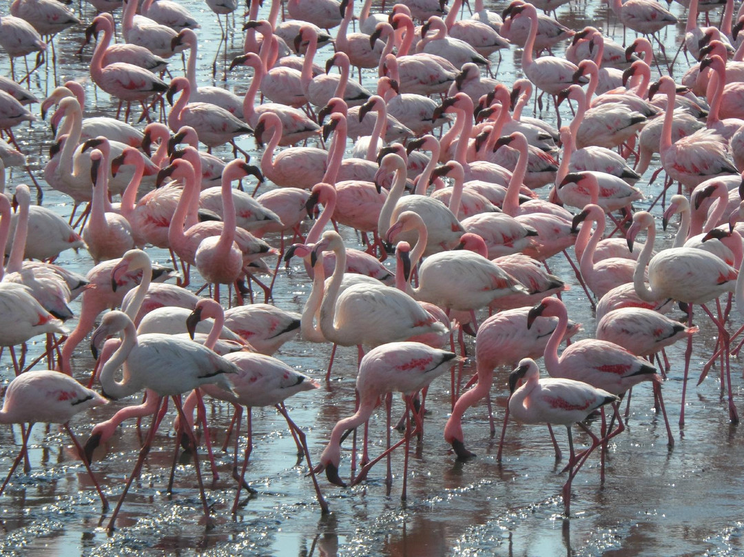 Long Beach Leisure Park-华维斯湾必去景点