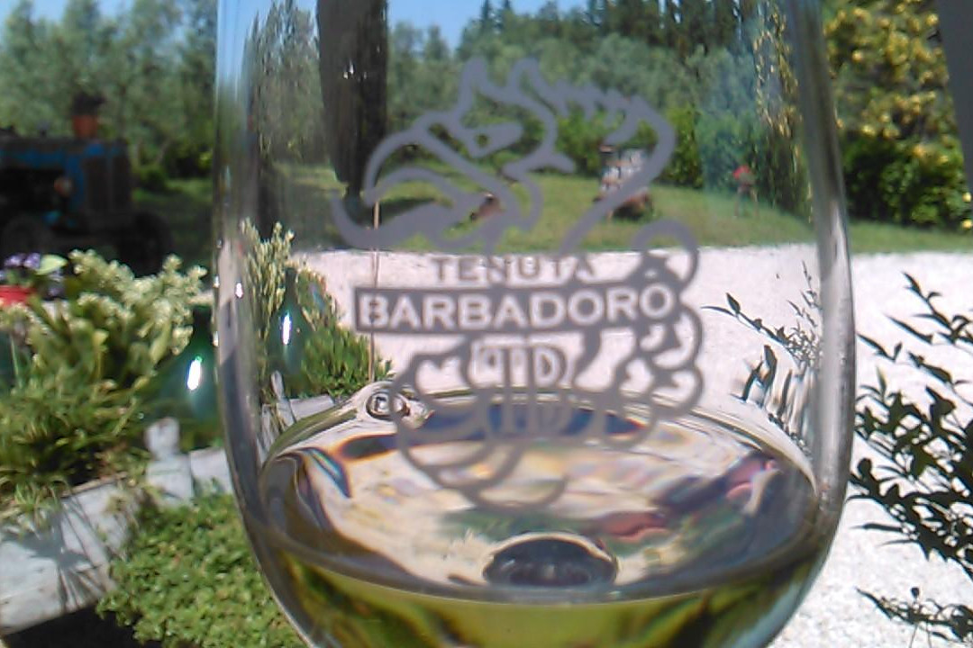 Tenuta Barbadoro景点图片