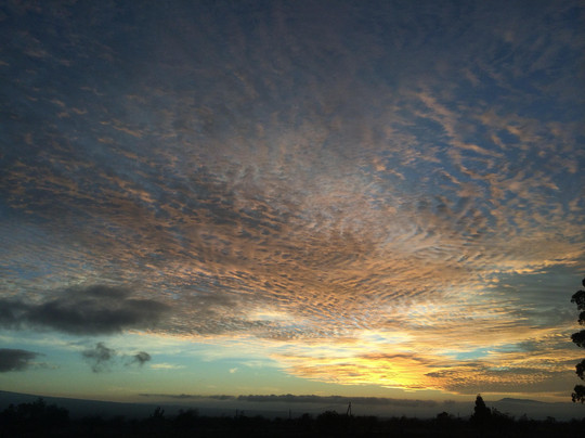 夏威夷芥末欢乐观光之旅-凯鲁瓦-柯纳必去景点