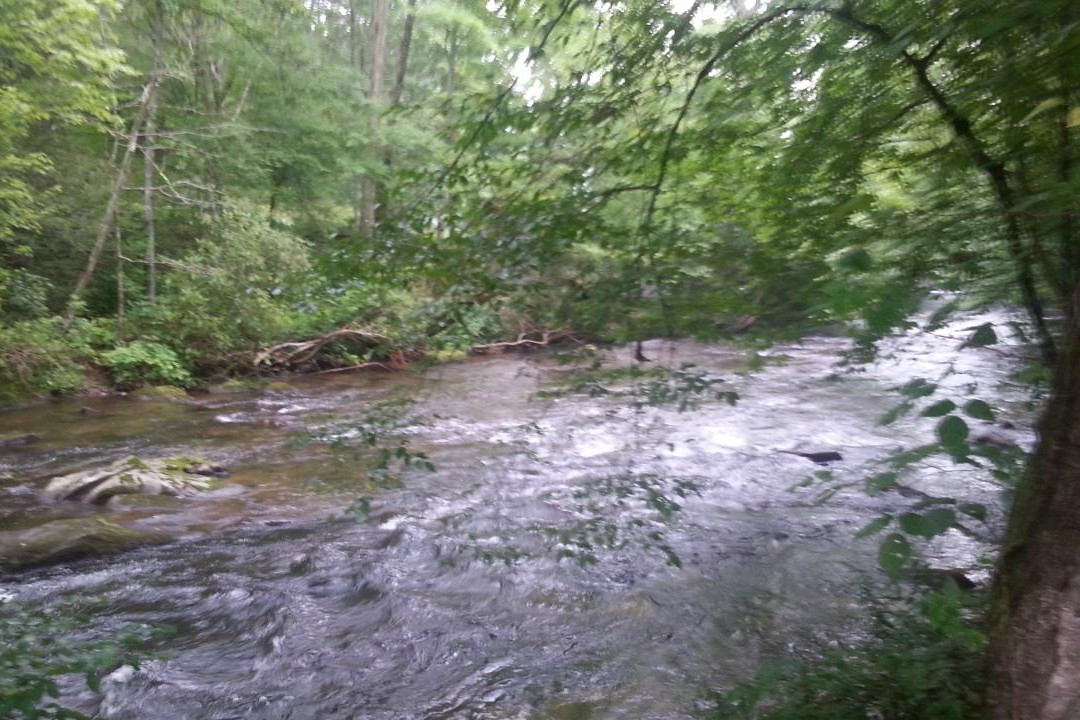 Deep Creek Tube Center景点图片