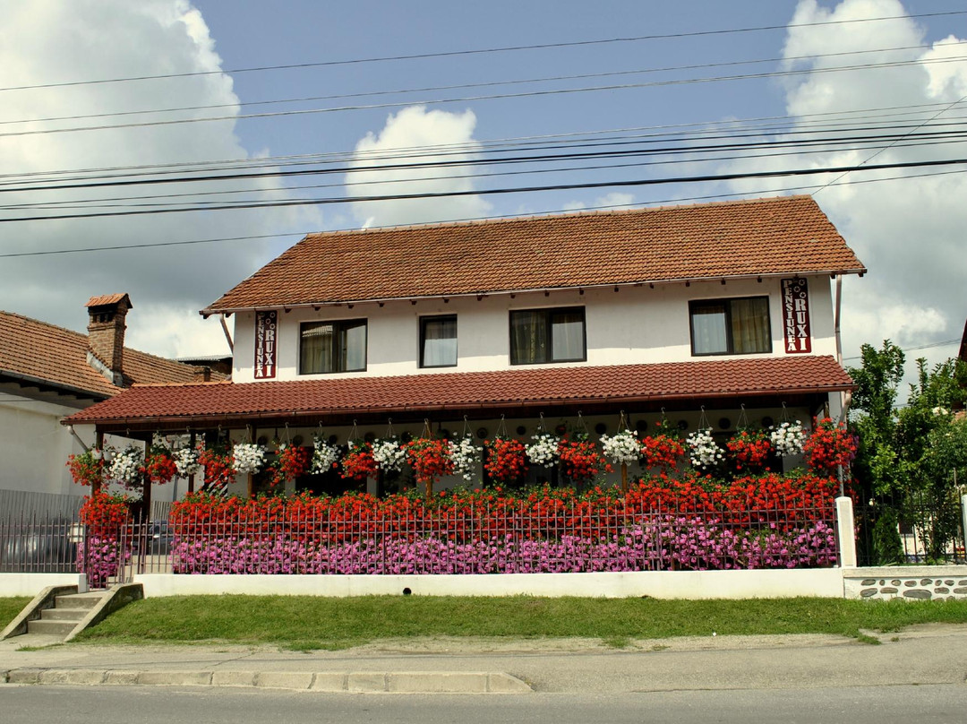 阿尔杰什酒店住宿-Pensiunea Ruxi