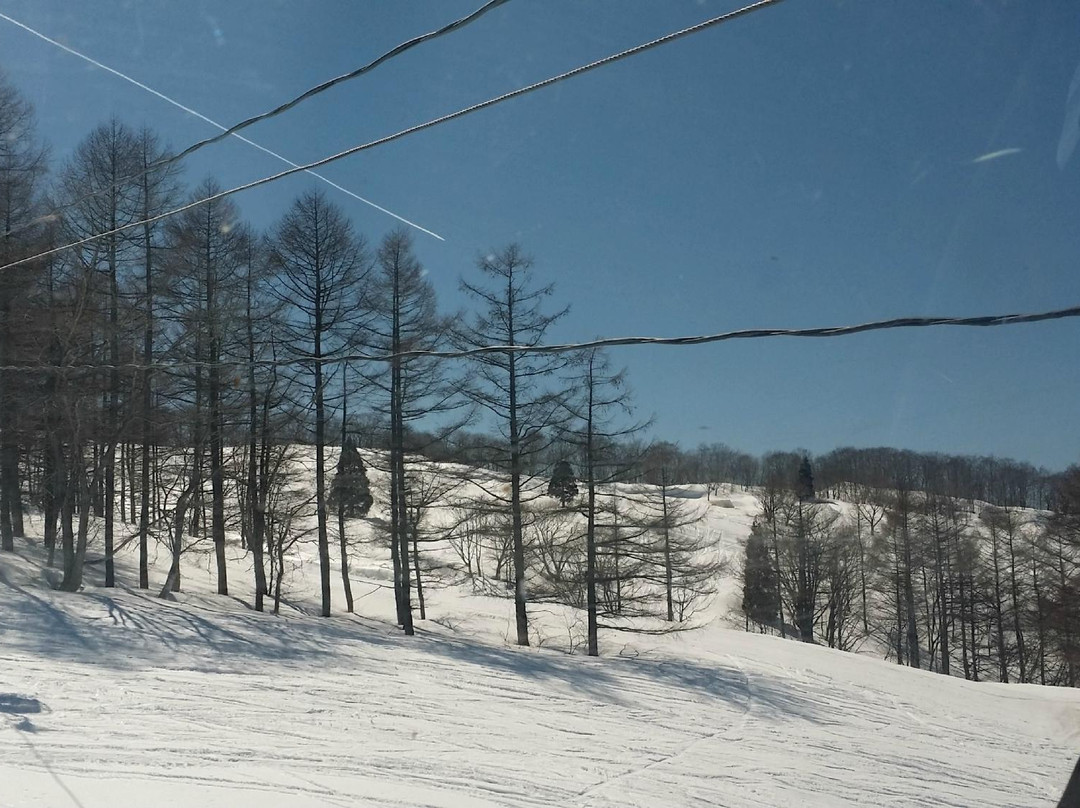 Snow Wave Park Shiratori Kogen-郡上市必去景点