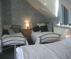 Amber Hills B&B-客卧
