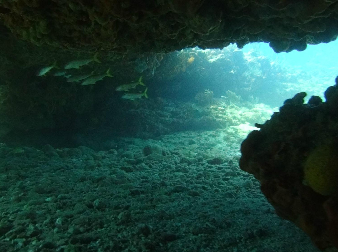 La Bulle Diving Center-居斯塔维亚必去景点