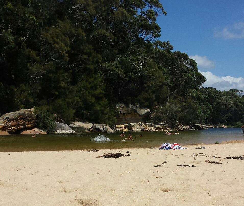 Wattamolla Beach-卧龙岗市必去景点
