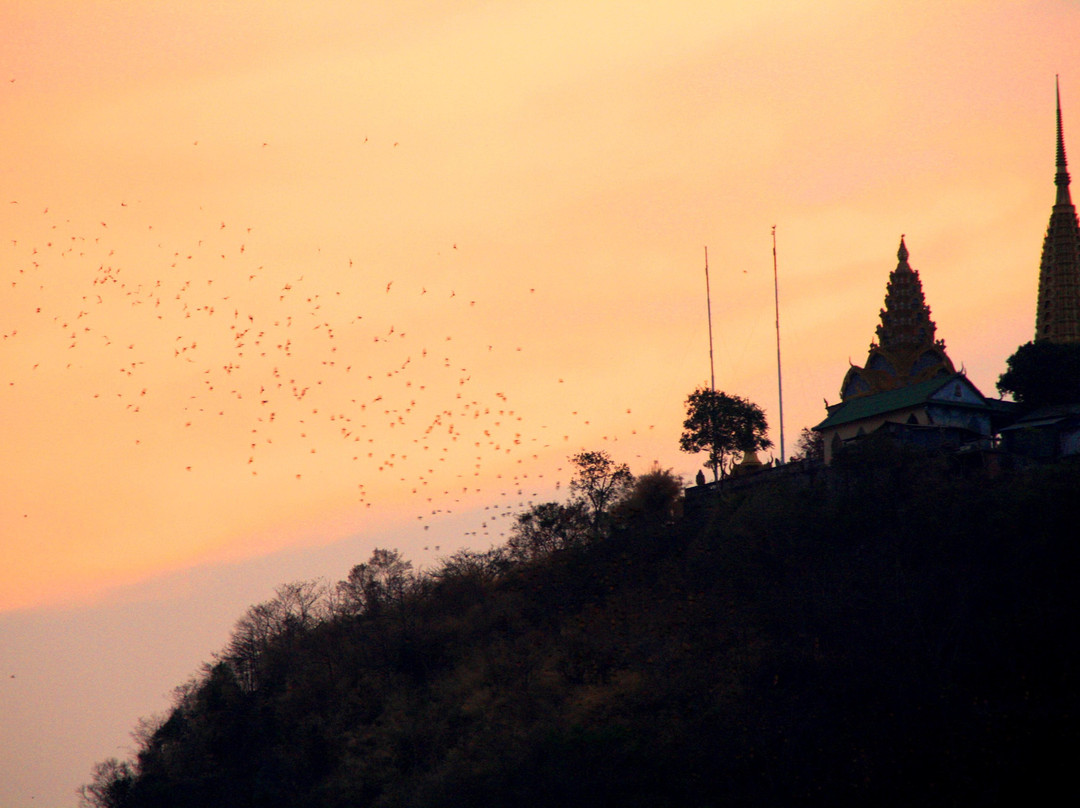 Battambang Bat Caves-马德望必去景点