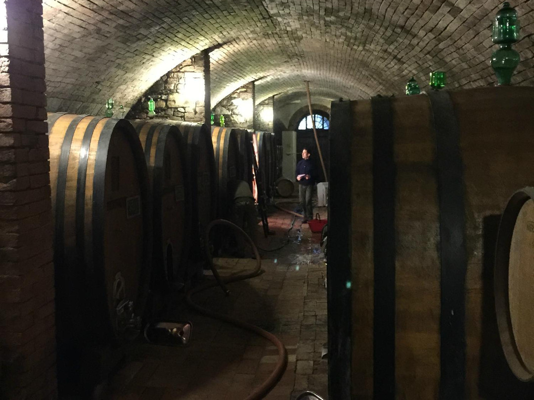 Florence Wine Academy-佛罗伦萨必去景点