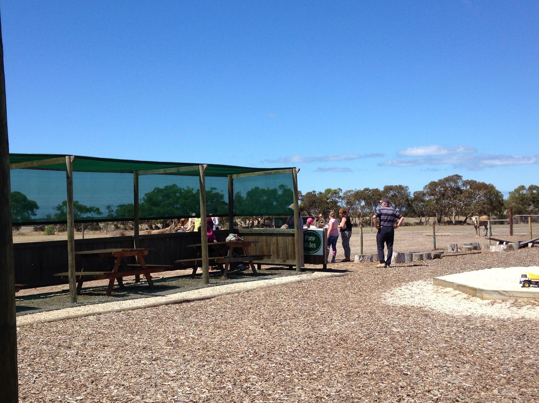 Goolwa Animal Farm-Goolwa必去景点