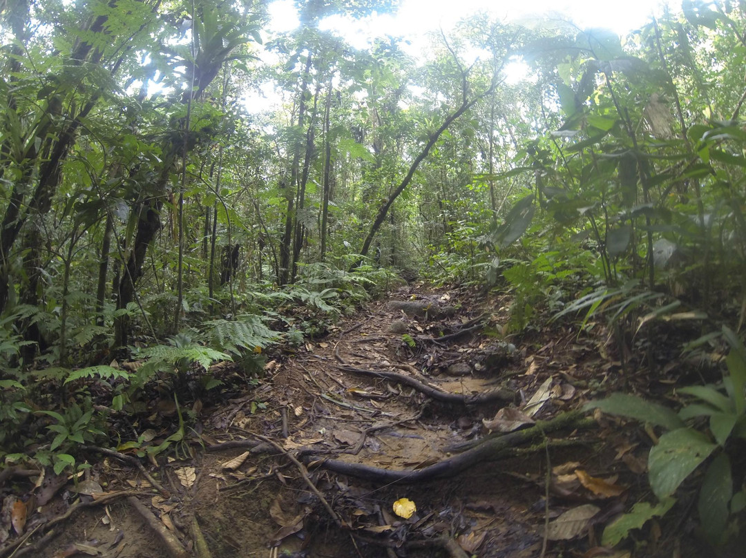 Parque Nacional de Saint-Hilaire-Lange-Matinhos必去景点