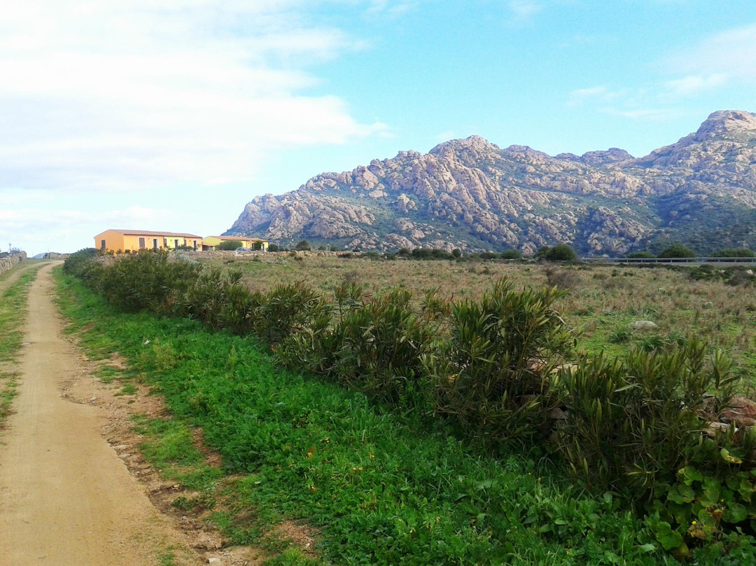 Santa Maria Coghinas酒店住宿-Agriturismo Casteldoria