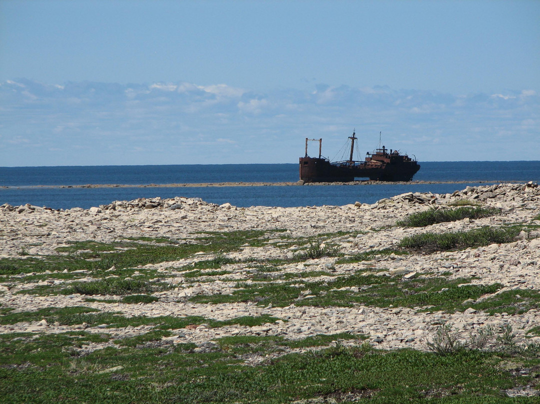 The Churchill Experience Tours-丘吉尔必去景点