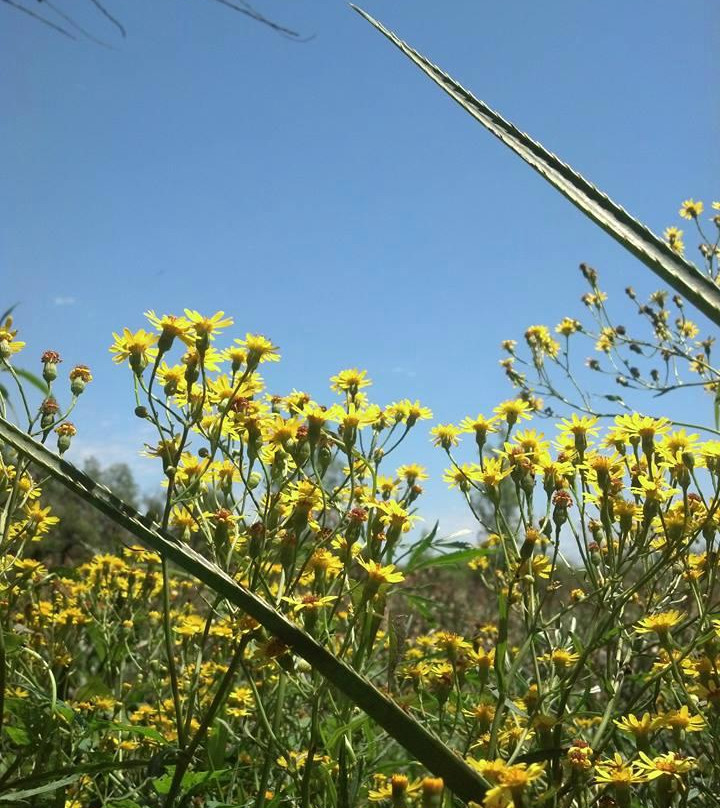 Delta Terra-蒂格雷必去景点