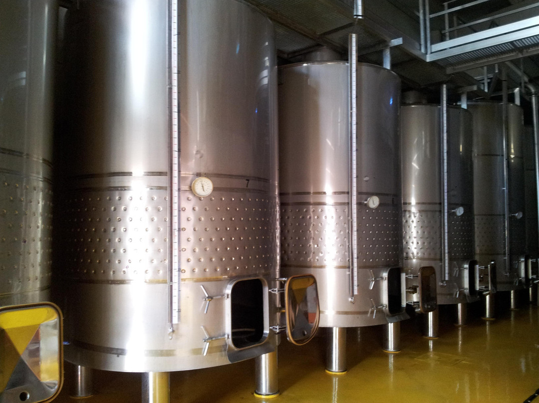 Bodega Chozas Carrascal景点图片