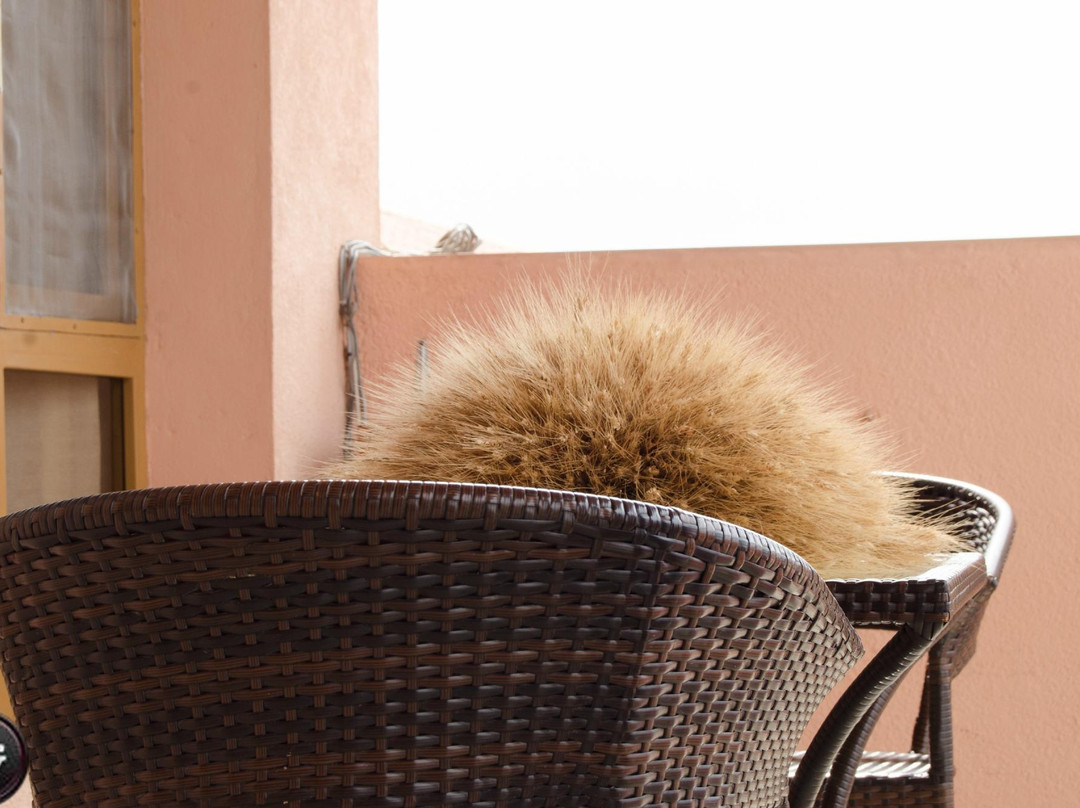 Pearl Residence Hotel Burundi主图