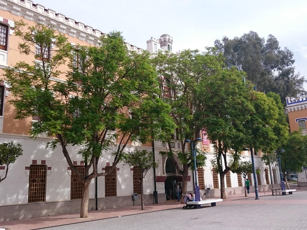 Acuario de la Universidad de Murcia-穆尔西亚必去景点