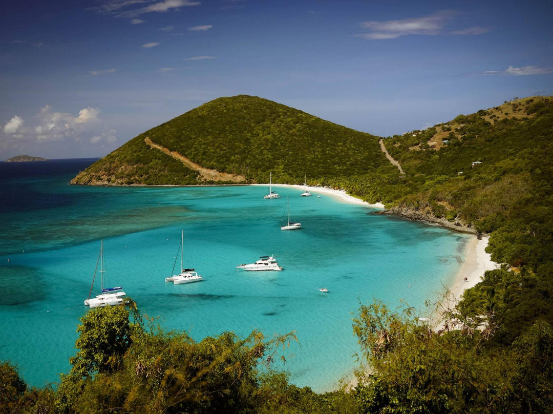 Jost Van Dyke酒店住宿-Perfect Pineapple Guest Houses