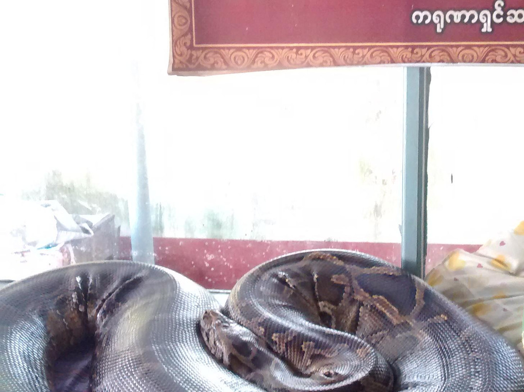 Snake Pagoda-勃固必去景点