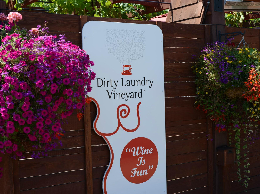 Dirty Laundry Vineyard景点图片
