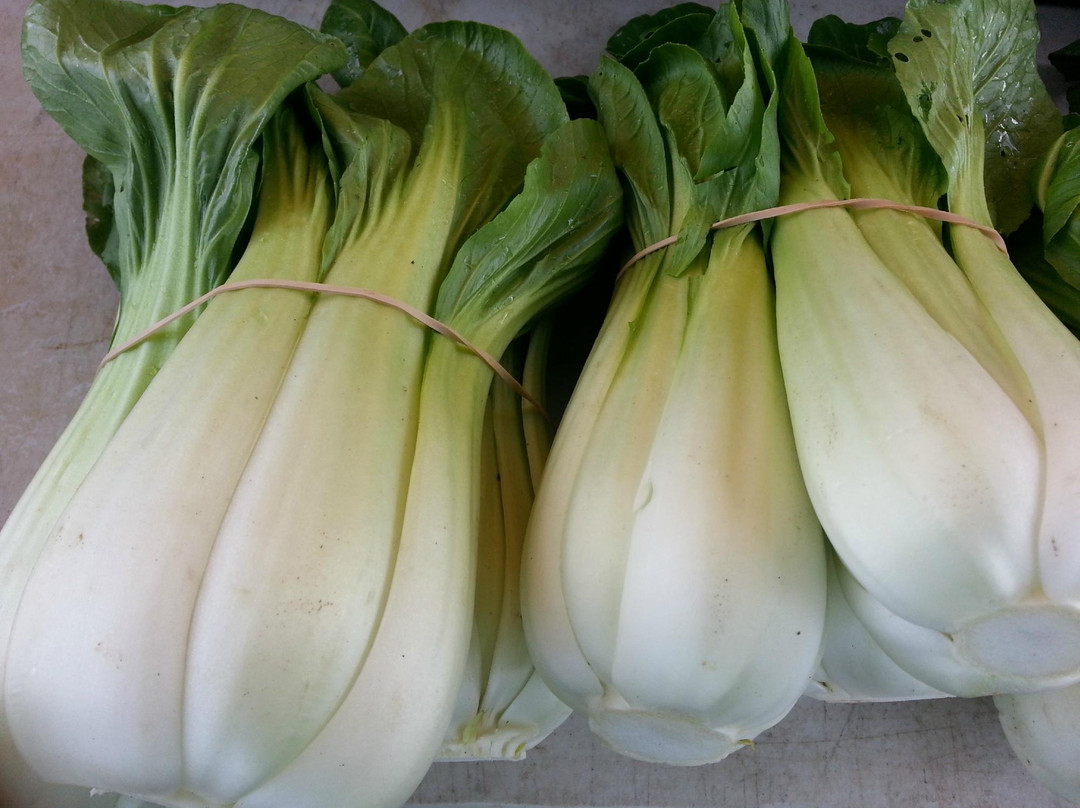 Mansfield Farmers' Market-曼斯菲尔德必去景点