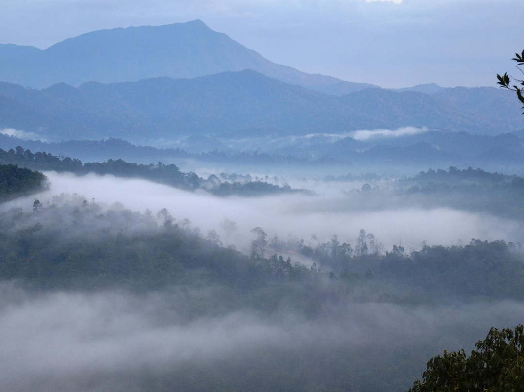 Bukit Panorama-Sungai Lembing必去景点