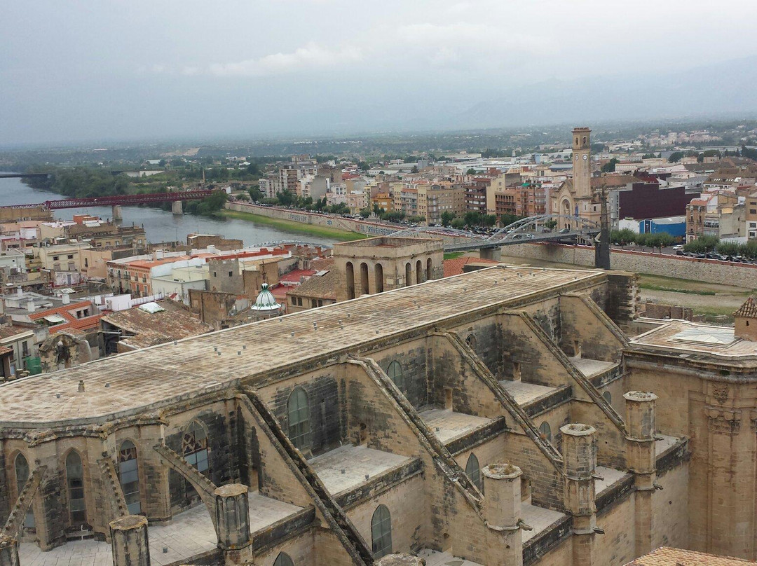 Catedral de Tortosa景点图片