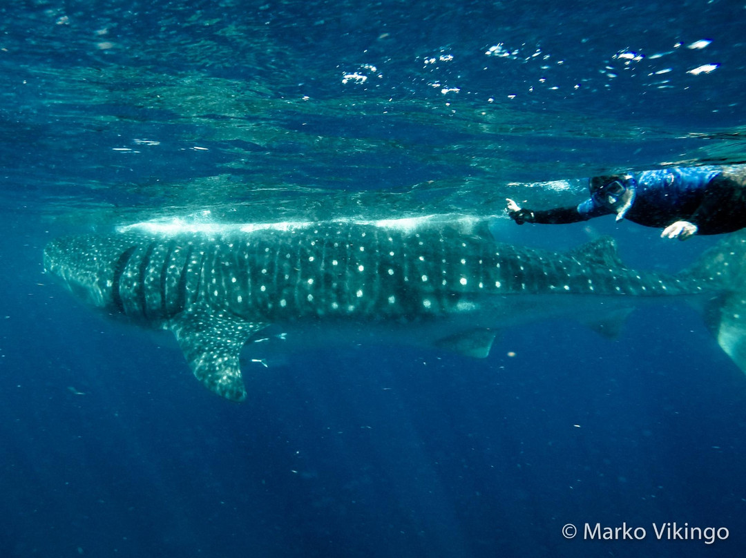 Explora Mexico Riviera Maya-普拉亚德尔卡曼必去景点