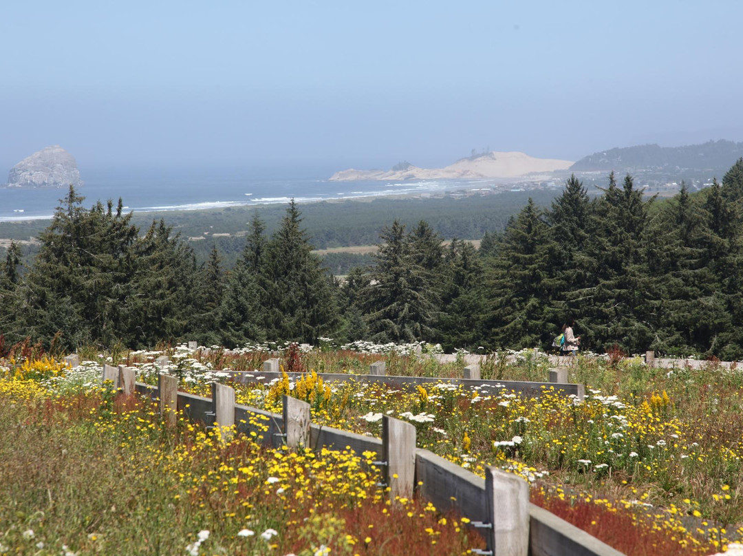 Nestucca Bay National Wildlife Refuge-太平洋城必去景点
